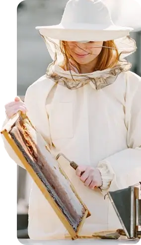 Lady With Bees Box